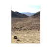 ilana.21 Altpins Profile Picture