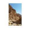 ilana.21 Altpins Profile Picture