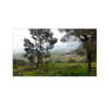 ilana.21 Altpins Profile Picture