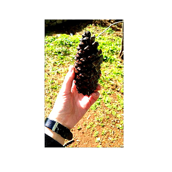 ilana.21 instagram image archive image