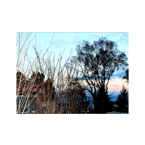 ilana.21 instagram image archive image