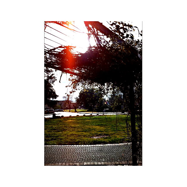 ilana.21 instagram image archive image