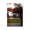 ilana.21 Altpins Profile Picture