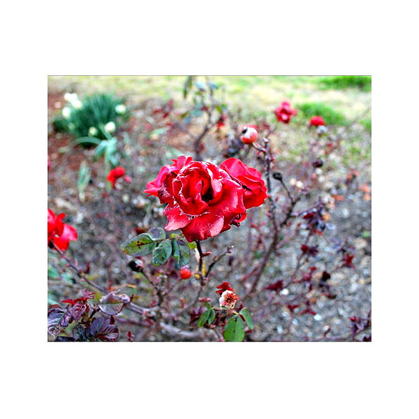 ilana.21 instagram image archive image