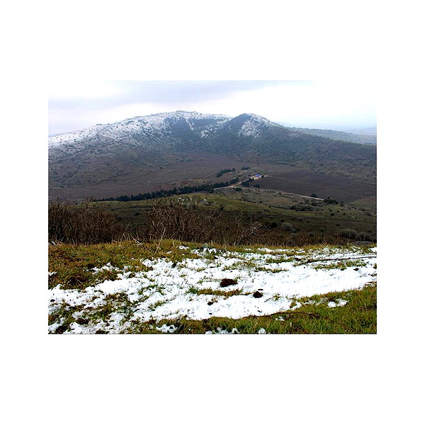 ilana.21 instagram image archive image