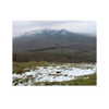 ilana.21 Altpins Profile Picture