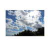 ilana.21 Altpins Profile Picture