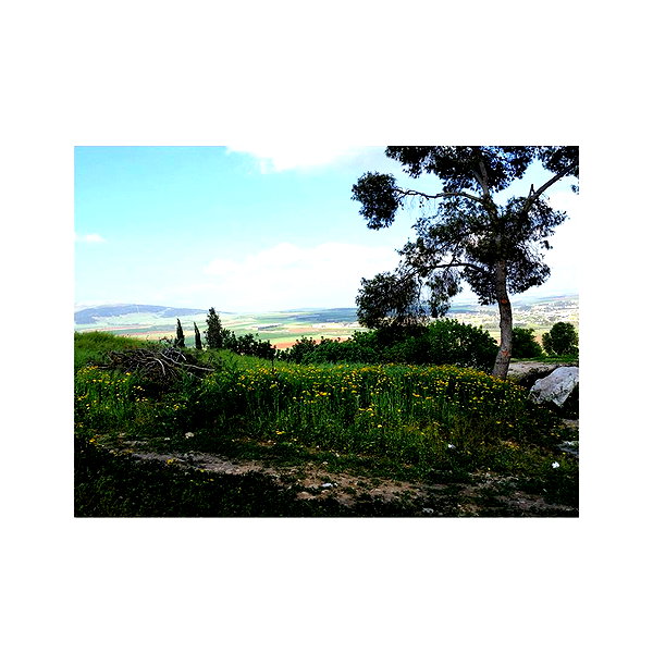 ilana.21 instagram image archive image