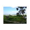 ilana.21 Altpins Profile Picture