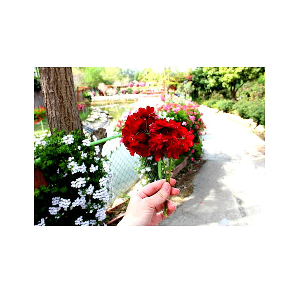 ilana.21 instagram image archive image