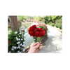 ilana.21 Altpins Profile Picture