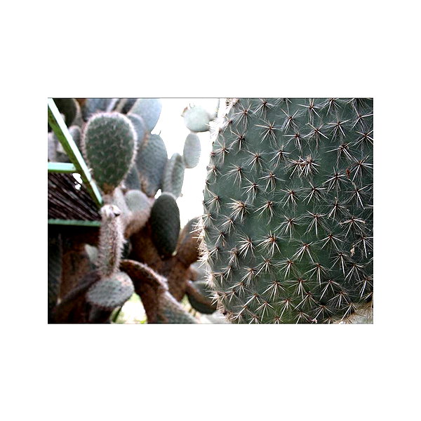 ilana.21 instagram image archive image