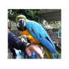 ilana.21 Altpins Profile Picture