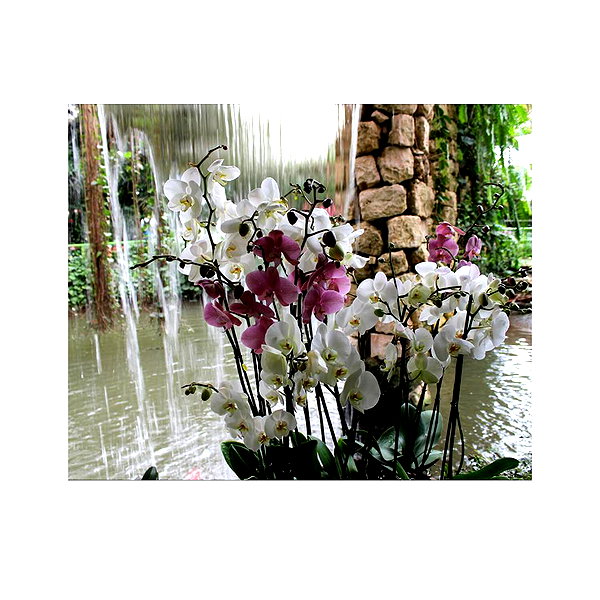 ilana.21 instagram image archive image