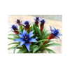 ilana.21 Altpins Profile Picture