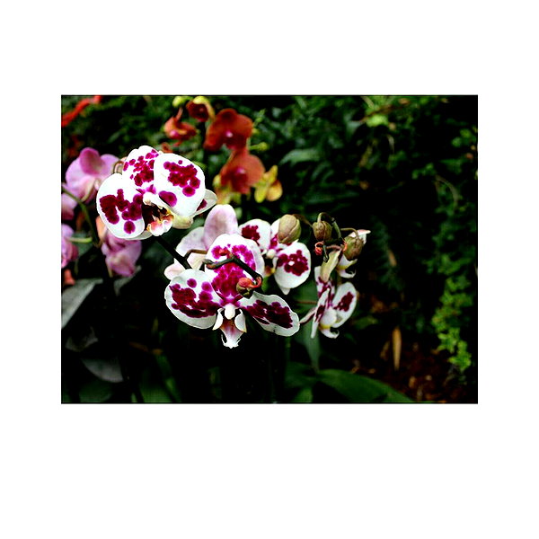 ilana.21 instagram image archive image