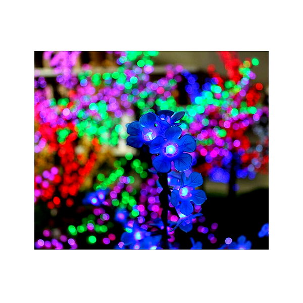 ilana.21 instagram image archive image