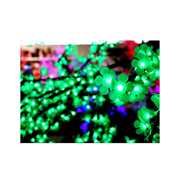 ilana.21 instagram image archive image