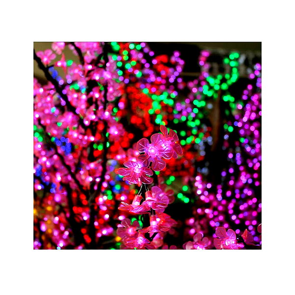 ilana.21 instagram image archive image