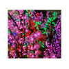 ilana.21 Altpins Profile Picture