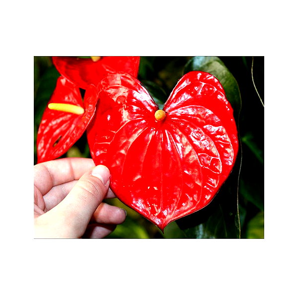 ilana.21 instagram image archive image