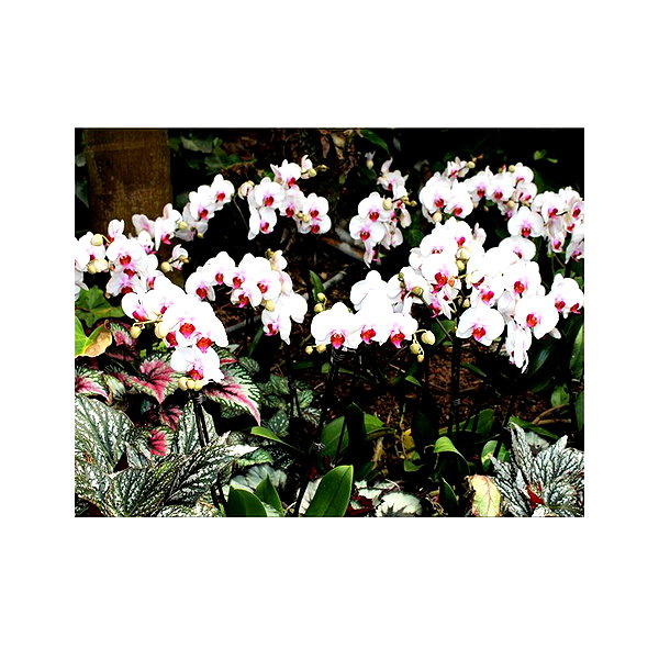 ilana.21 instagram image archive image