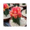 ilana.21 Altpins Profile Picture