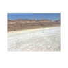 ilana.21 Altpins Profile Picture
