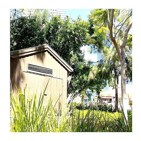 ilana.21 instagram image archive image