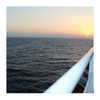 ilana.21 Altpins Profile Picture