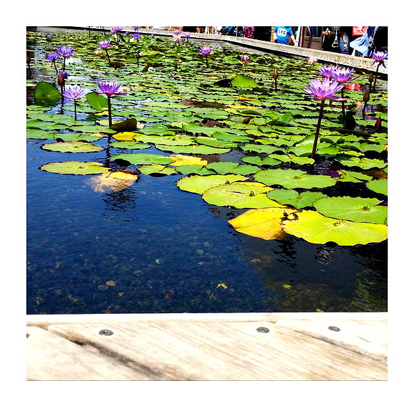 ilana.21 instagram image archive image