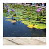 ilana.21 Altpins Profile Picture