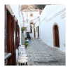 ilana.21 Altpins Profile Picture