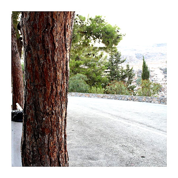 ilana.21 instagram image archive image