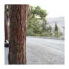 ilana.21 Altpins Profile Picture