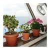 ilana.21 Altpins Profile Picture
