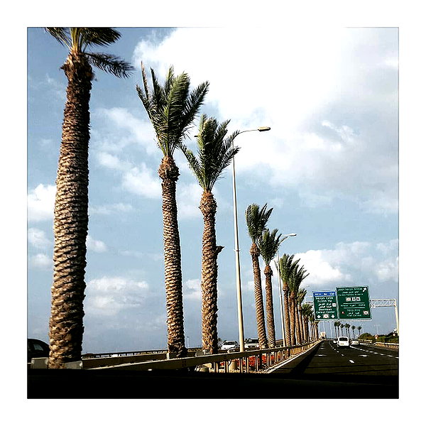 ilana.21 instagram image archive image