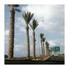 ilana.21 Altpins Profile Picture