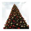 ilana.21 Altpins Profile Picture