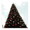 ilana.21 Altpins Profile Picture