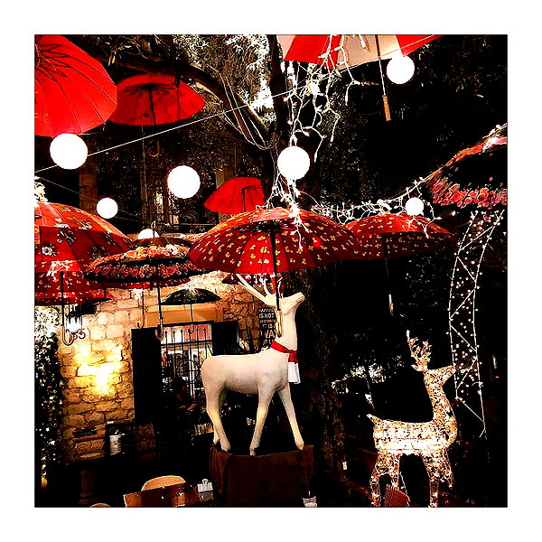 ilana.21 instagram image archive image