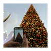 ilana.21 Altpins Profile Picture