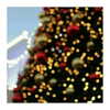 ilana.21 Altpins Profile Picture