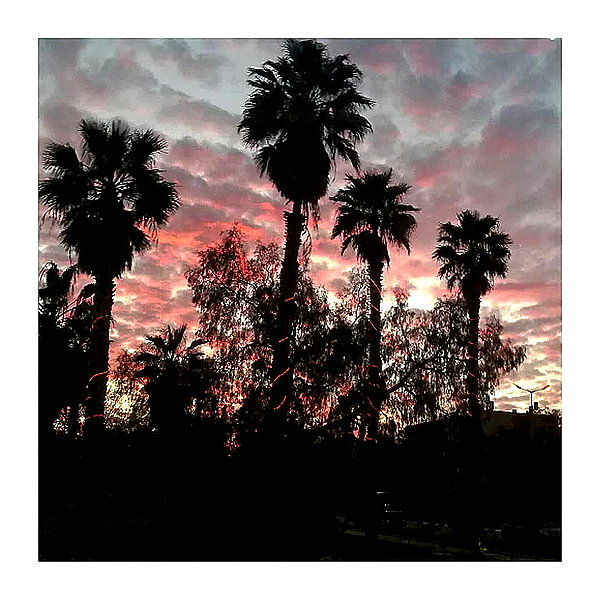 ilana.21 instagram image archive image