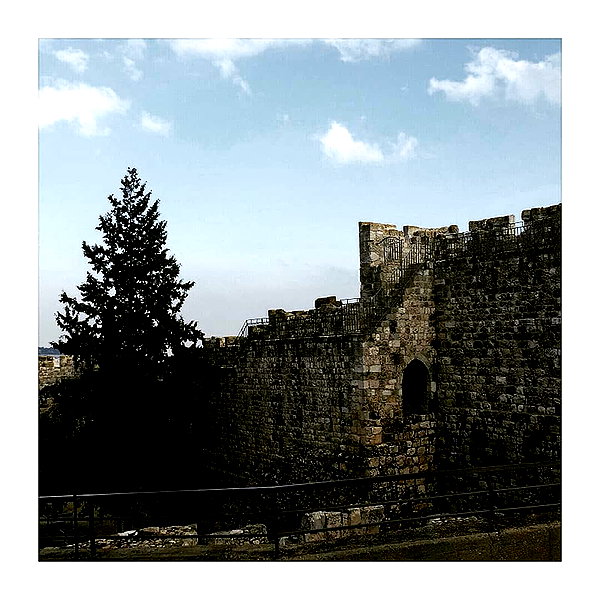 ilana.21 instagram image archive image