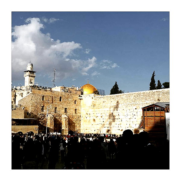 ilana.21 instagram image archive image