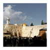 ilana.21 Altpins Profile Picture