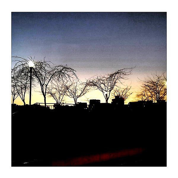 ilana.21 instagram image archive image