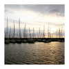 ilana.21 Altpins Profile Picture
