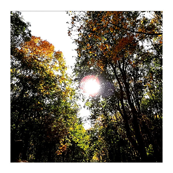 ilana.21 instagram image archive image